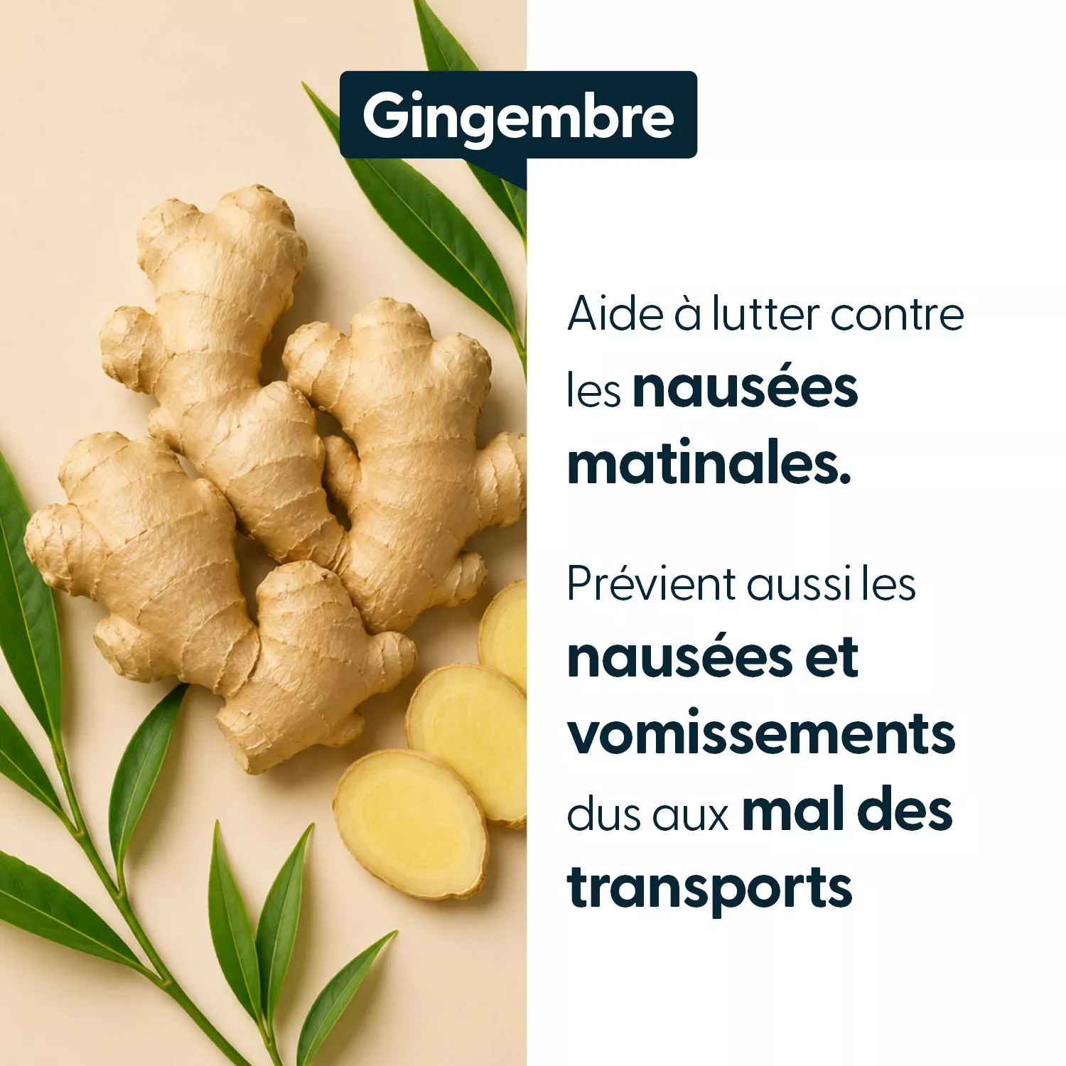 Gingembre concentré Grossesse & Enfants - Titré à 5 % de gingérols