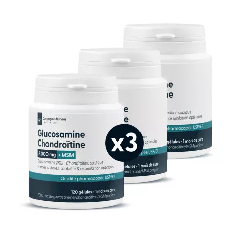 Glucosamine chondroïtine MSM concentré - 1500mg