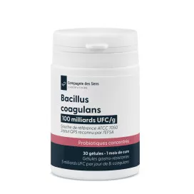Bacillus coagulans