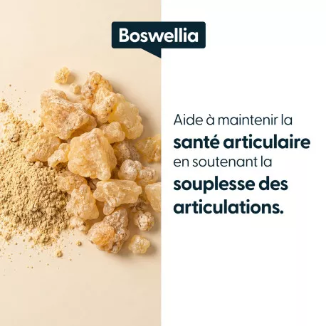 Boswellia concentré - Titré à 65 % d'acide boswellique