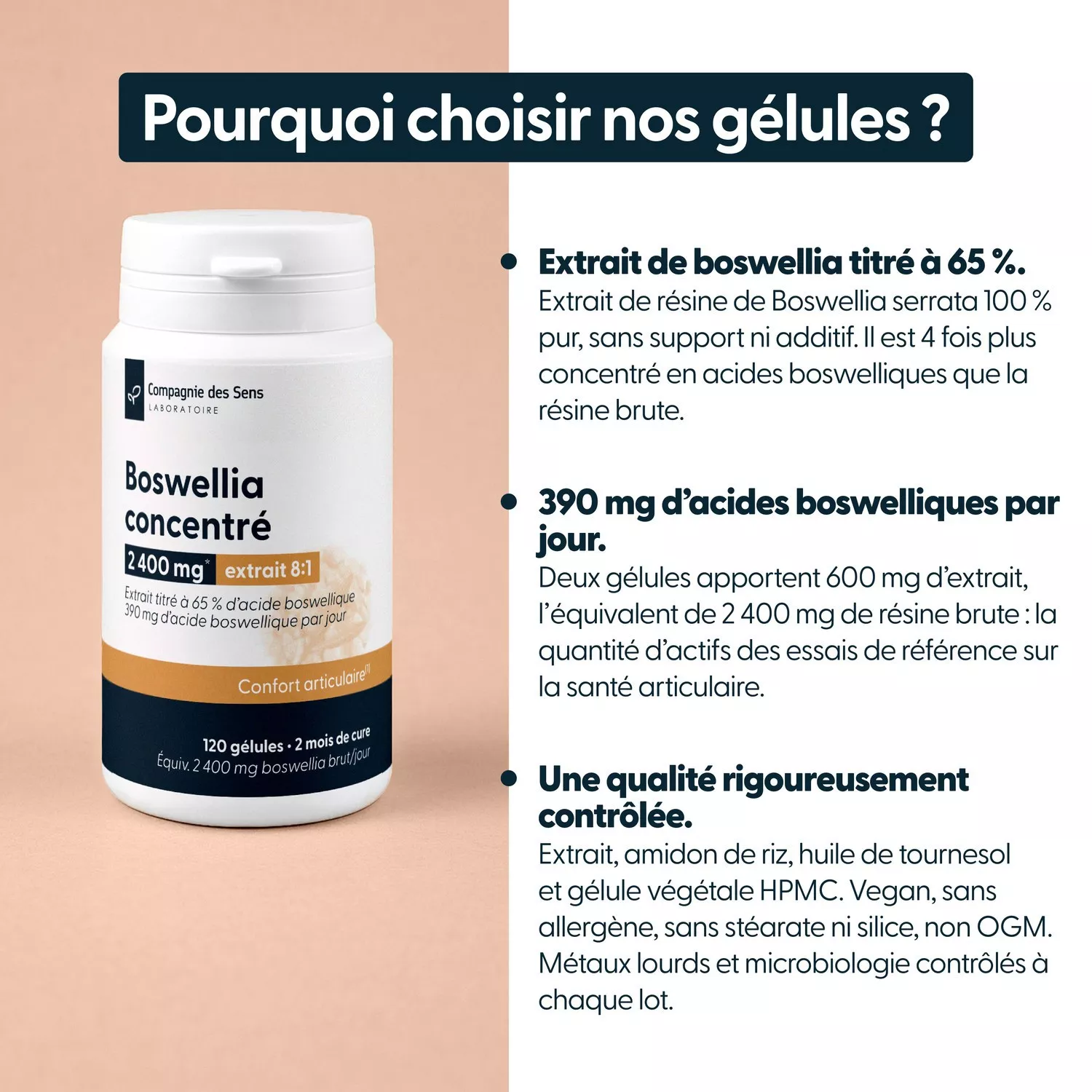 Boswellia concentré - Titré à 65 % d'acide boswellique