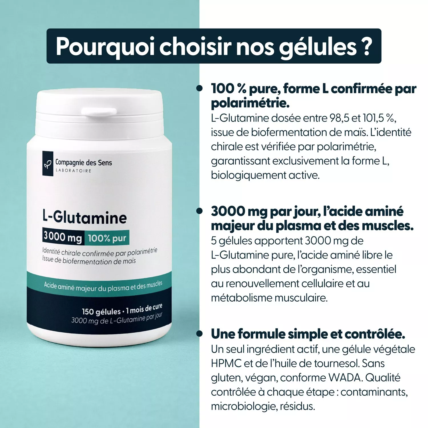 L Glutamine - 3g par jour