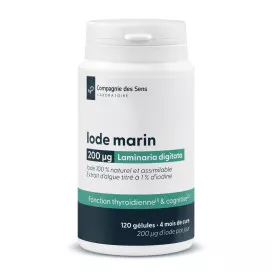Iode marin