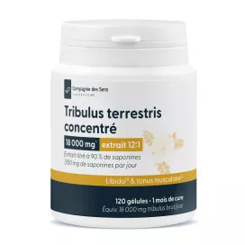 Tribulus terrestris concentré
