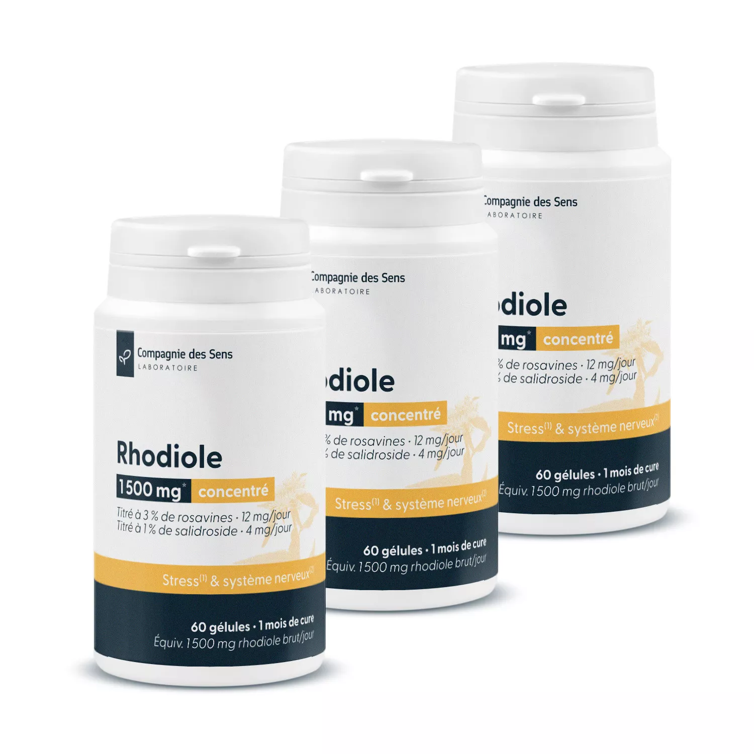 Rhodiole concentrée -3 % de rosavines & 1 % de salidroside