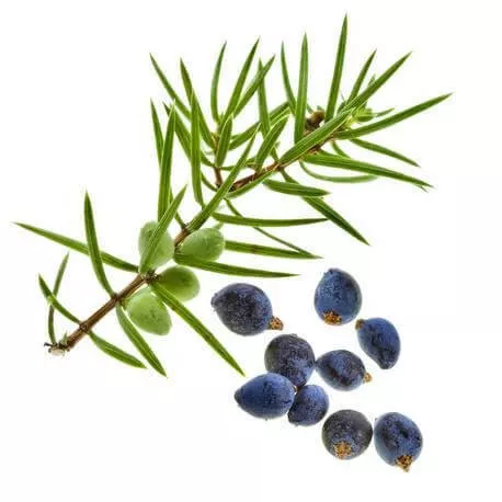 CADE - Huile essentielle BIO