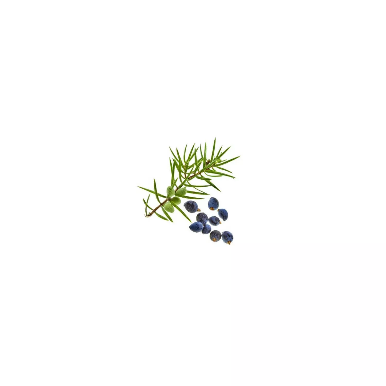 CADE - Huile essentielle BIO