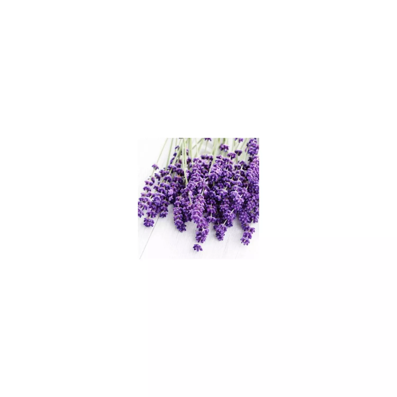 LAVANDIN SUPER - Huile essentielle BIO