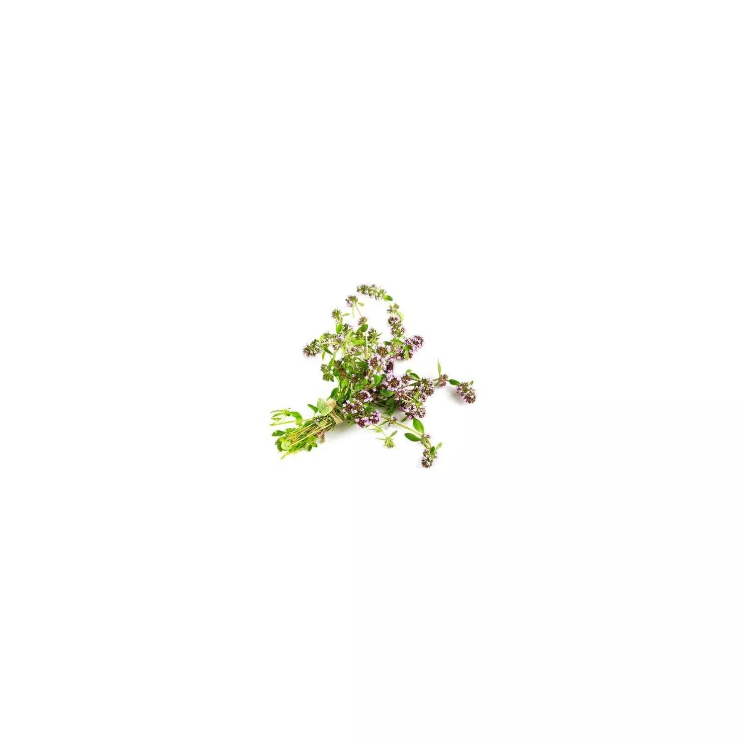 THYM À LINALOL - Huile essentielle BIO
