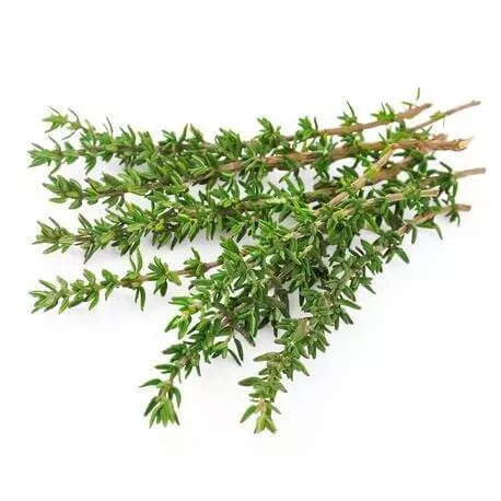 THYM À THYMOL - Huile essentielle BIO