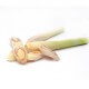 LEMONGRASS - Huile essentielle BIO