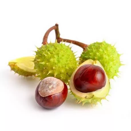 MARRONNIER - Macérat de bourgeons BIO