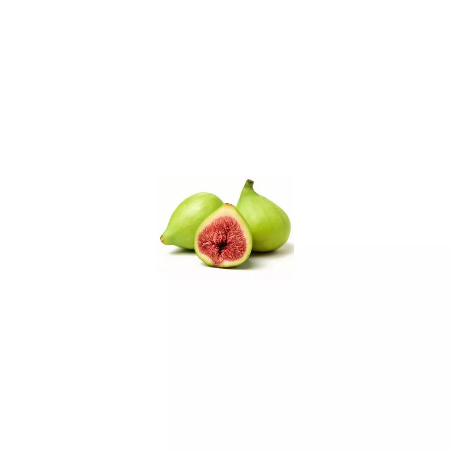 FIGUIER - Macérat de bourgeons BIO