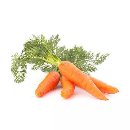Macérât huileux de Carotte BIO
