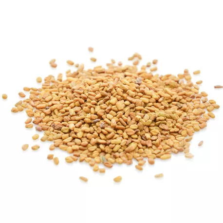 Graines de Fenugrec BIO - Graines en vrac