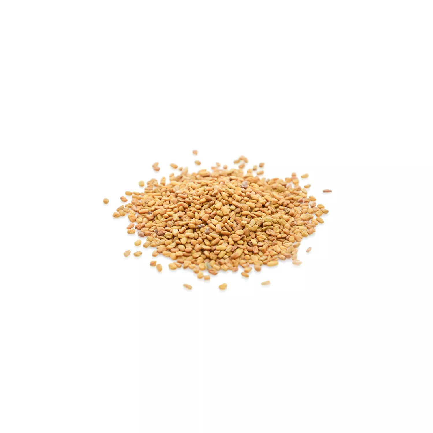 Graines de Fenugrec BIO - Graines en vrac