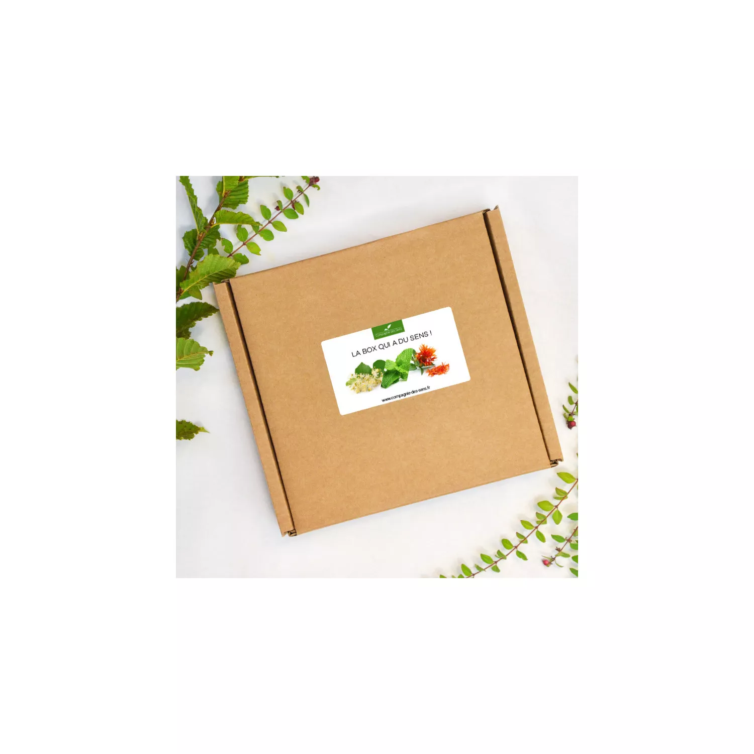 Box ingrédients cosmétique