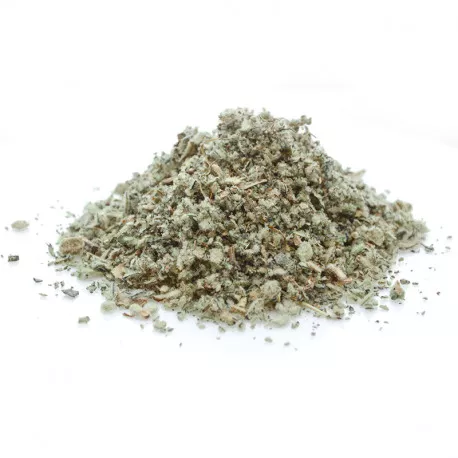 Bouillon blanc BIO en vrac
