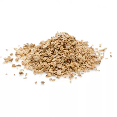 Gingembre BIO en vrac