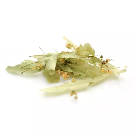 Tilleul BIO en vrac - Bractées