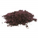 Maqui en poudre BIO - Superaliments en vrac