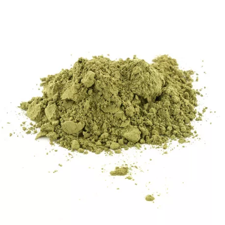 Moringa en poudre BIO - Superaliments en vrac