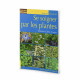 Se soigner par les plantes - Gilles Corjon