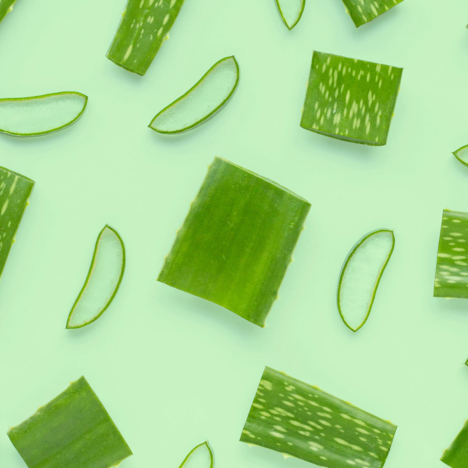 Aloe vera
