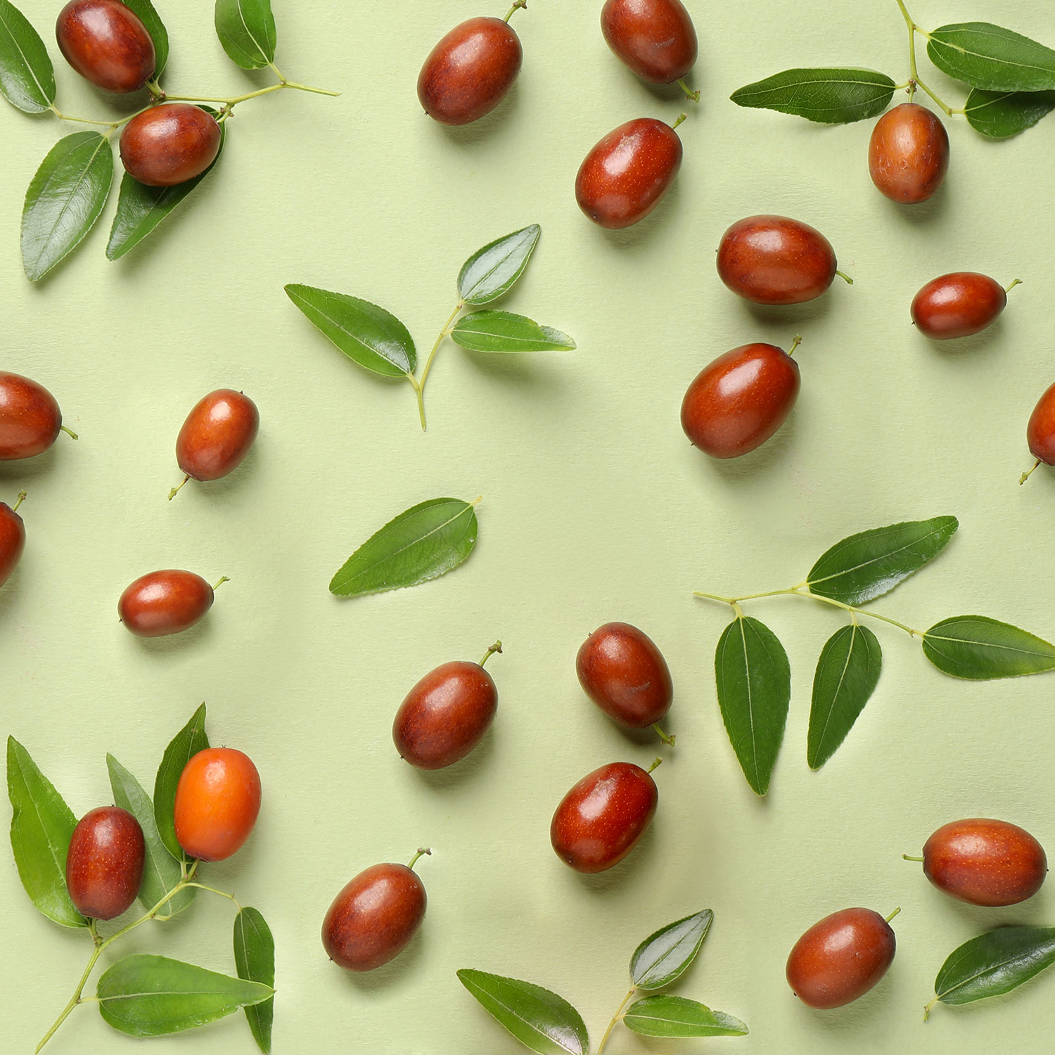 Huile de jojoba