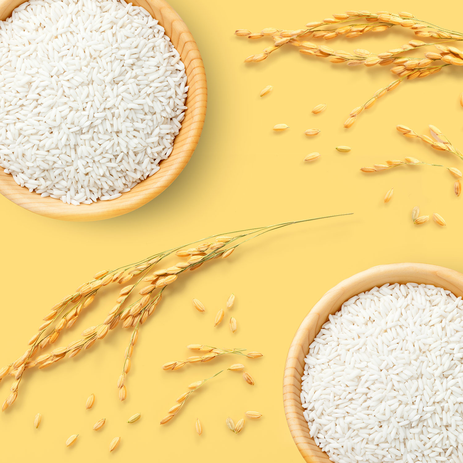 Poudre de riz