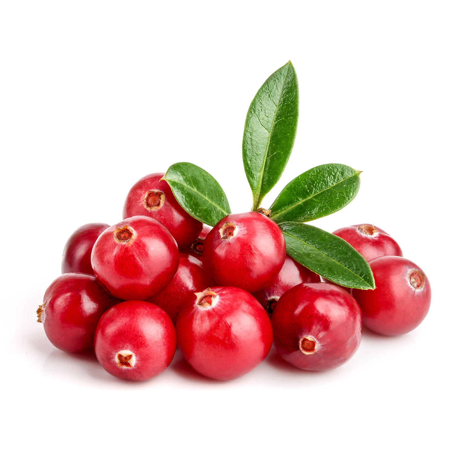 Cranberry