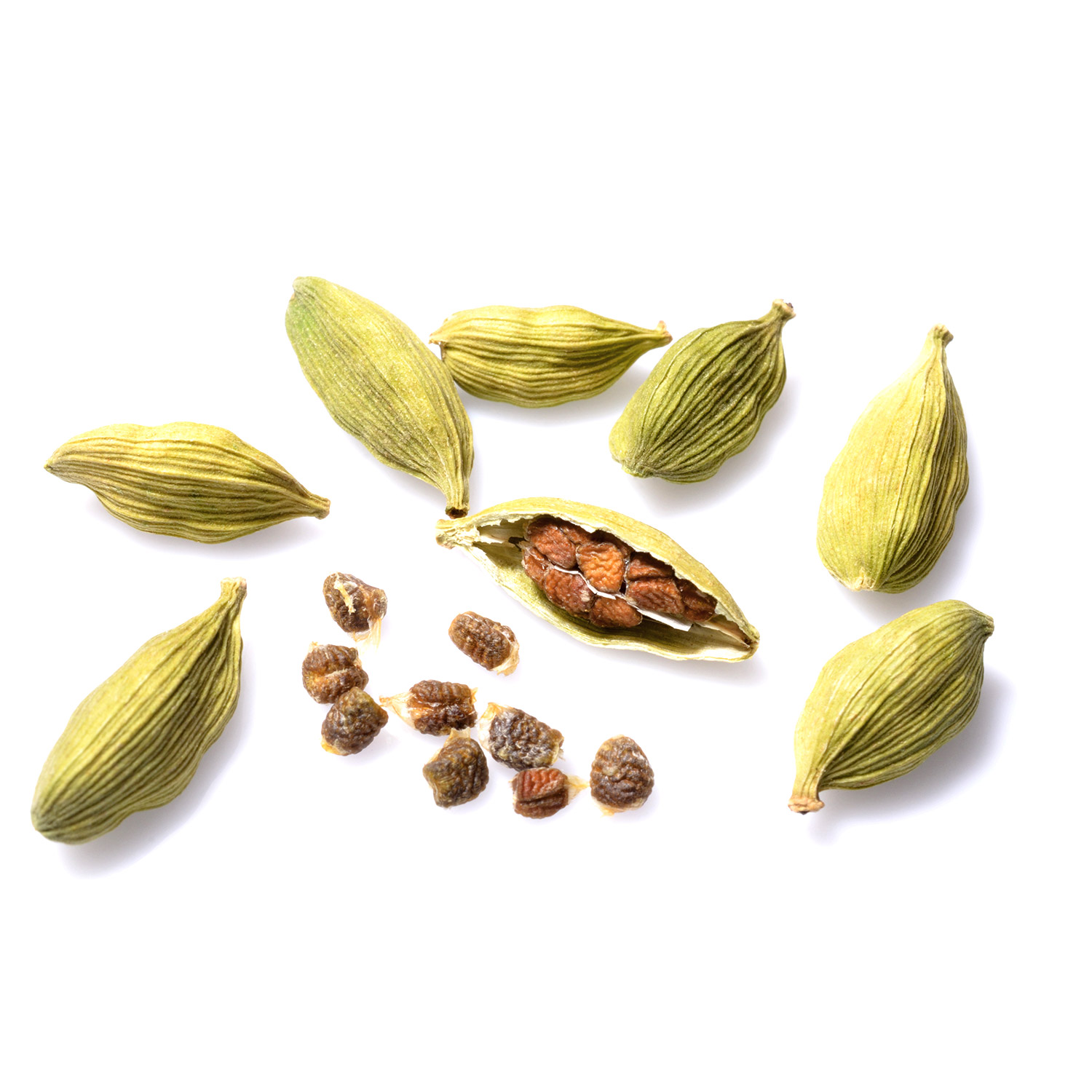 Cardamome
