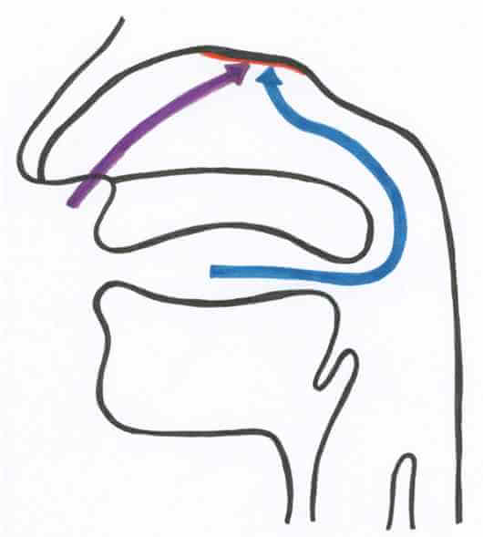 odeur huiles essentielles