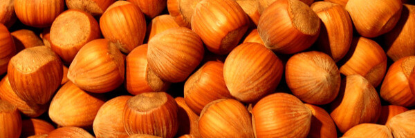 Guide complet de l'huile végétale de Noisette