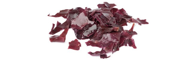 Dulse