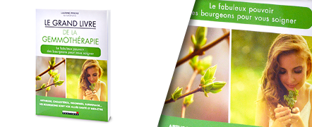 Le grand livre de la gemmothérapie - Laurine Pineau