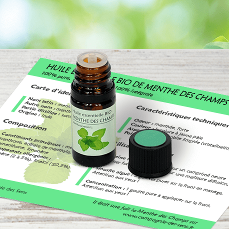 Huile essentielle de menthe des champs Huile essentielle de menthe des champs