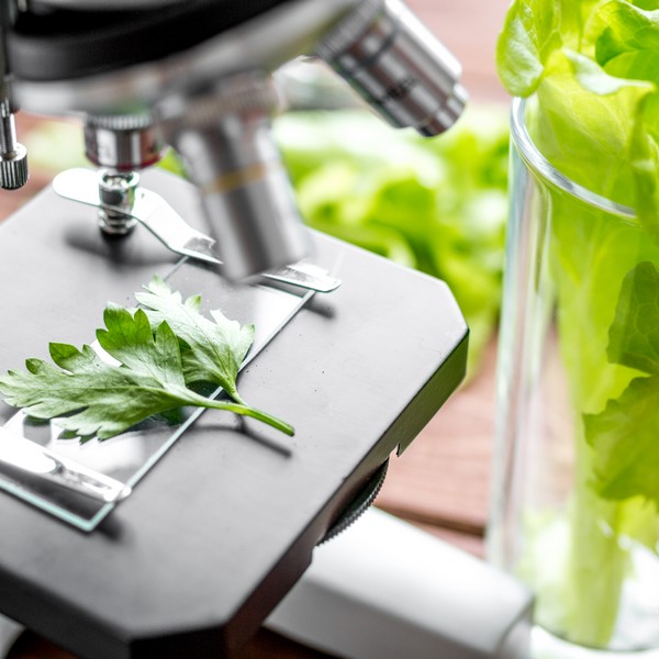 Choisir des superaliments de qualité