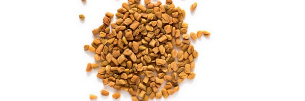 La Graine de Fenugrec