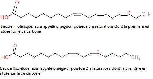 huiles végétales composition oméga 3 6