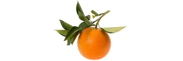 L'huile essentielle de Petit Grain Bigarade