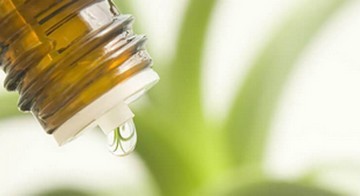 Gemmothérapie tous les bienfaits des macérats de bourgeons